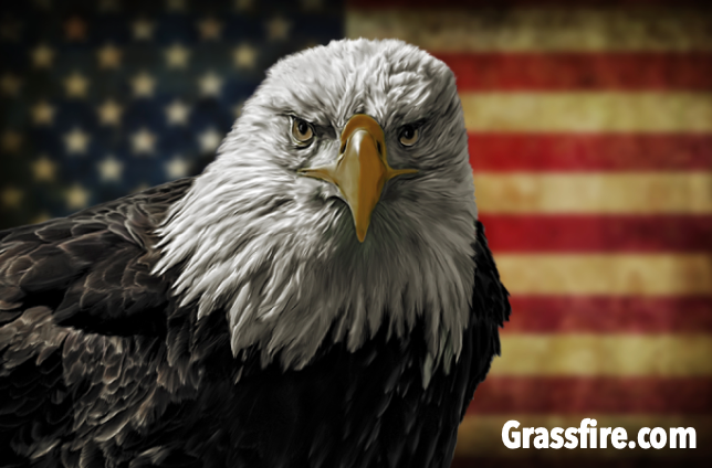 Bald Eagle Resticker